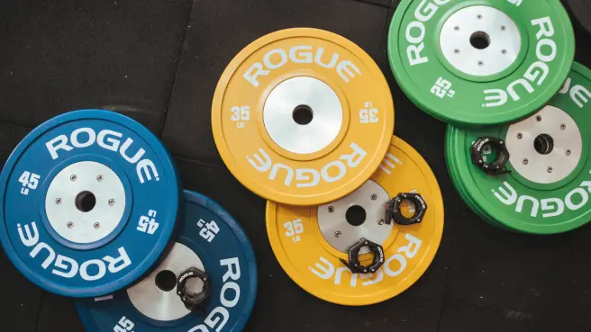 how-a-3-pound-organ-controls-your-entire-body